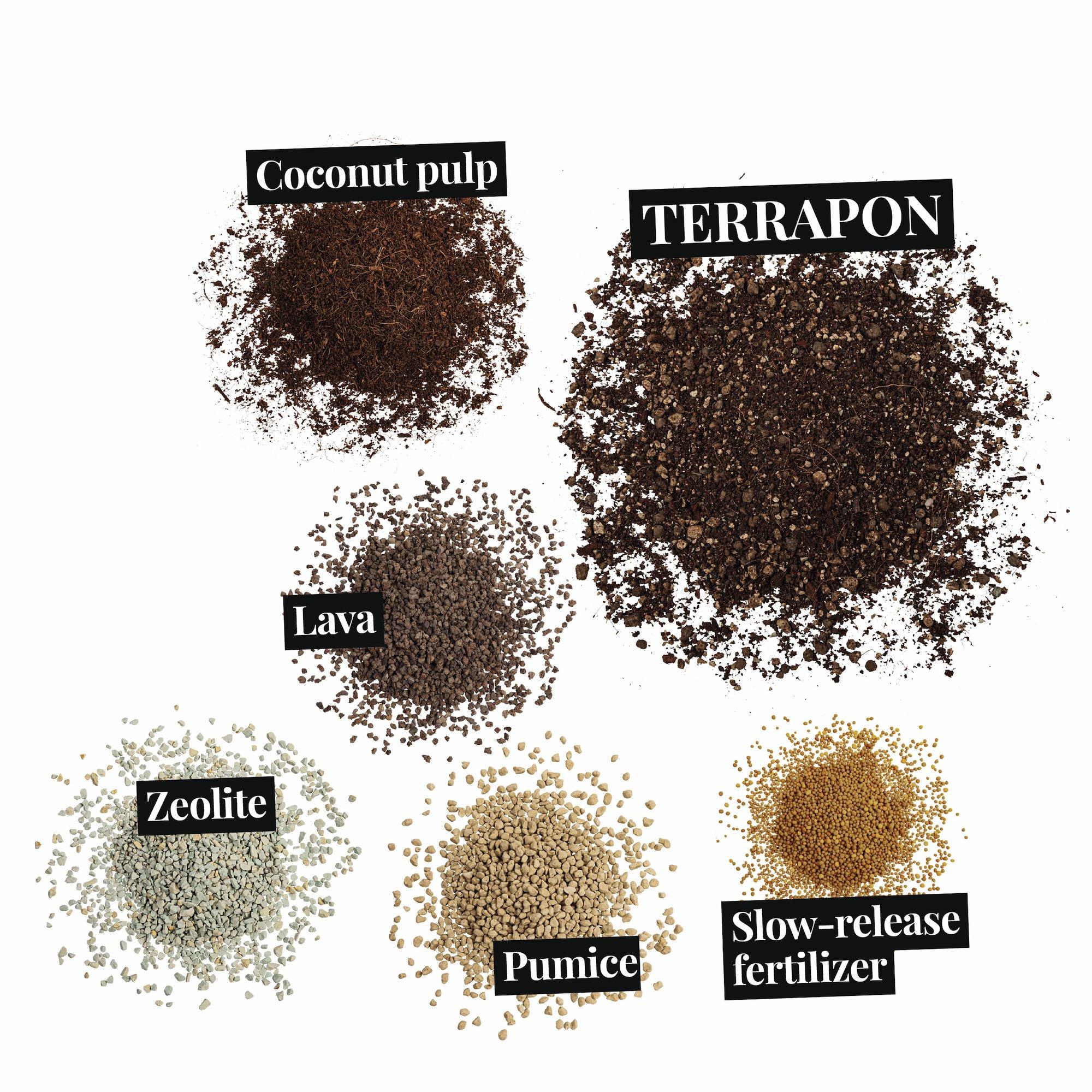 le_substratbestandteile_terrapon_en